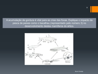 8




A acumulação de gordura é vital para as crias das focas. Explique o impacto da
     pesca de peixes como o bacalhau (representado pelo número 3) no
               desenvolvimento destes mamíferos do ártico.




                                                              Nuno Correia
 