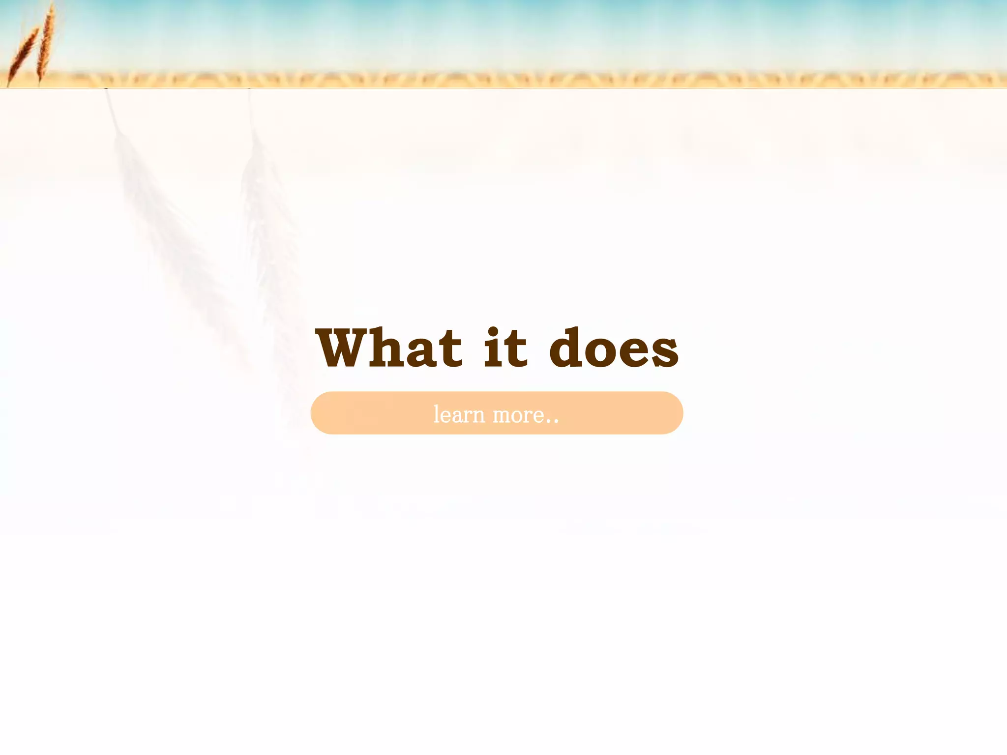 What it does
learn more..
 