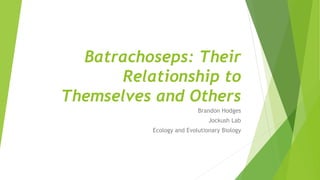 Batrachoseps: Their
Relationship to
Themselves and Others
Brandon Hodges
Jockush Lab
Ecology and Evolutionary Biology
 