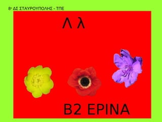 8ο ΔΣ ΣΤΑΥΡΟΥΠΟΛΗΣ - ΤΠΕ
 