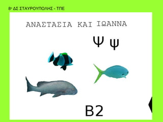 8ο ΔΣ ΣΤΑΥΡΟΥΠΟΛΗΣ - ΤΠΕ
 