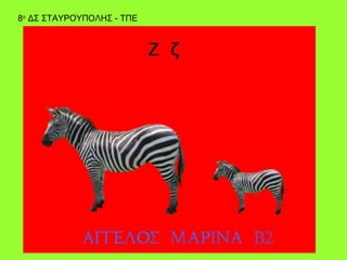 8ο ΔΣ ΣΤΑΥΡΟΥΠΟΛΗΣ - ΤΠΕ
 