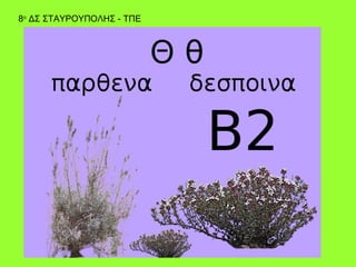 8ο ΔΣ ΣΤΑΥΡΟΥΠΟΛΗΣ - ΤΠΕ
 