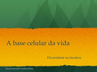 A base celular da vida
Diversidade na biosfera
Direitos reservados a Cristina Pedrosa
 