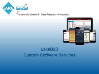 LakeB2B
Custom Software Services
 