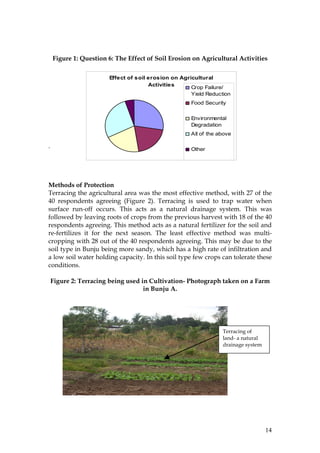 14
Figure 1: Question 6: The Effect of Soil Erosion on Agricultural Activities
.
Methods of Protection
Terracing the agricultural area was the most effective method, with 27 of the
40 respondents agreeing (Figure 2). Terracing is used to trap water when
surface run-off occurs. This acts as a natural drainage system. This was
followed by leaving roots of crops from the previous harvest with 18 of the 40
respondents agreeing. This method acts as a natural fertilizer for the soil and
re-fertilizes it for the next season. The least effective method was multi-
cropping with 28 out of the 40 respondents agreeing. This may be due to the
soil type in Bunju being more sandy, which has a high rate of infiltration and
a low soil water holding capacity. In this soil type few crops can tolerate these
conditions.
Figure 2: Terracing being used in Cultivation- Photograph taken on a Farm
in Bunju A.
Effect of soil erosion on Agricultural
Activities
Crop Failure/
Yield Reduction
Food Security
Environmental
Degradation
All of the above
Other
Terracing of
land- a natural
drainage system
 