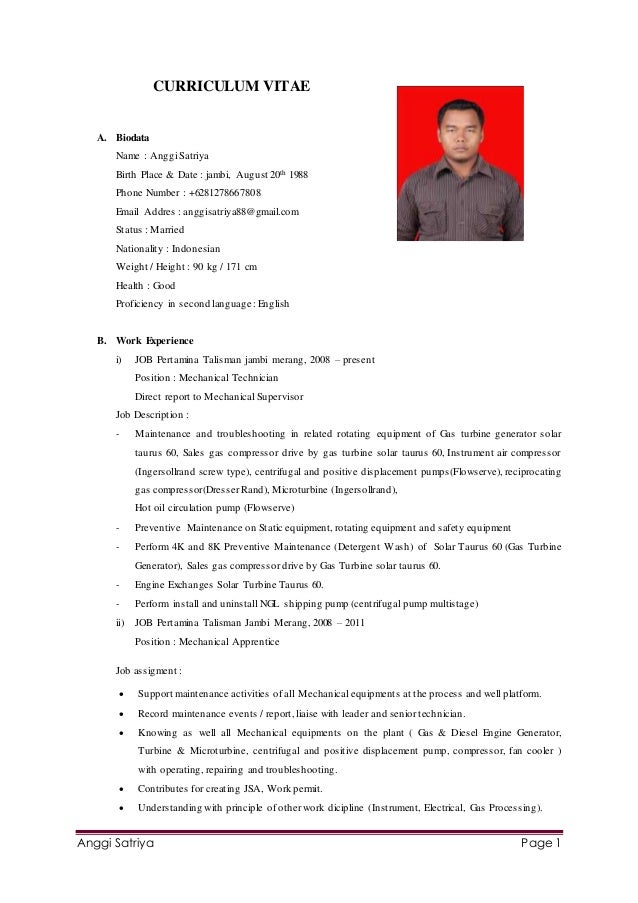 cv for mechanical technician