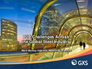 Mark Morley, Industry Marketing Director
B2B Challenges Across
the Global Steel Industry
 
