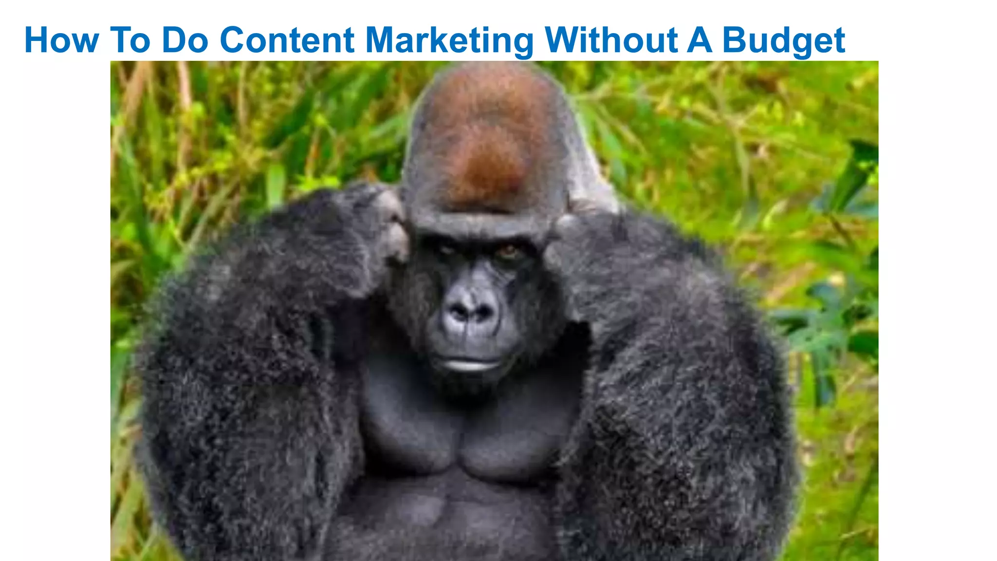 MARKETING INSIDER GROUP
How To Do Content Marketing Without A Budget
 