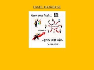 EMAIL DATABASE
 