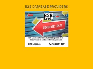 B2B DATABASE PROVIDERS
 