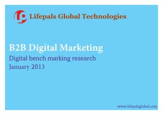 B2B Digital Marketing
Digital bench marking research
January 2013
www.lifepalsglobal.com
Lifepals Global Technologies
 