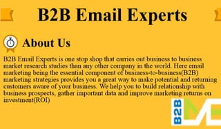 B2B Email Experts' Services