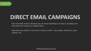 Once the lead’s email is obtained, we use email marketing to nurture it, providing the
lead with fresh content on a regular basis.
Optimally new content is sent once or twice a month: case studies, references, press
releases, etc.
DIRECT EMAIL CAMPAIGNS
Nurturing leads
OneBusinessAvenue.Com
 