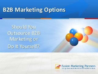 B2B Marketing Options

  Should You
 Outsource B2B
  Marketing or
 Do It Yourself?
 