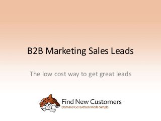 B2B Marketing Sales Leads

The low cost way to get great leads
 