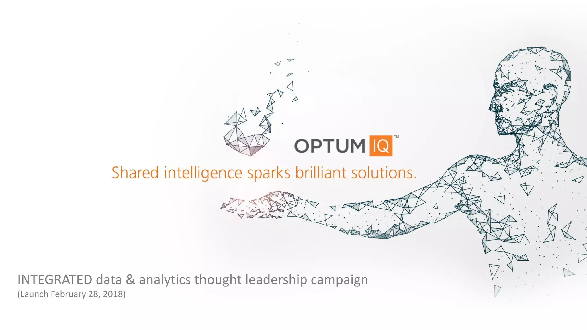 INTEGRATED data & analytics thought leadership campaign
(Launch February 28, 2018)
 