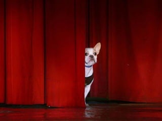 3. Удобный и понятный процесс оформления заказа / заявки
 