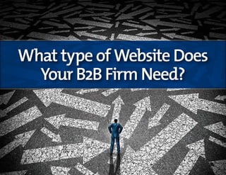 What type of Website Does
Your B2B Firm Need?
 