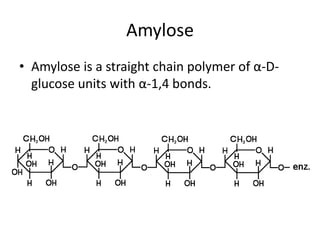 Amylose
• Amylose is a straight chain polymer of α-D-
  glucose units with α-1,4 bonds.
 