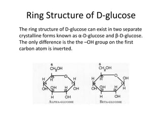 Ring Structure of D-glucose
The ring structure of D-glucose can exist in two separate
crystalline forms known as α-D-glucose and β-D-glucose.
The only difference is the the –OH group on the first
carbon atom is inverted.
 