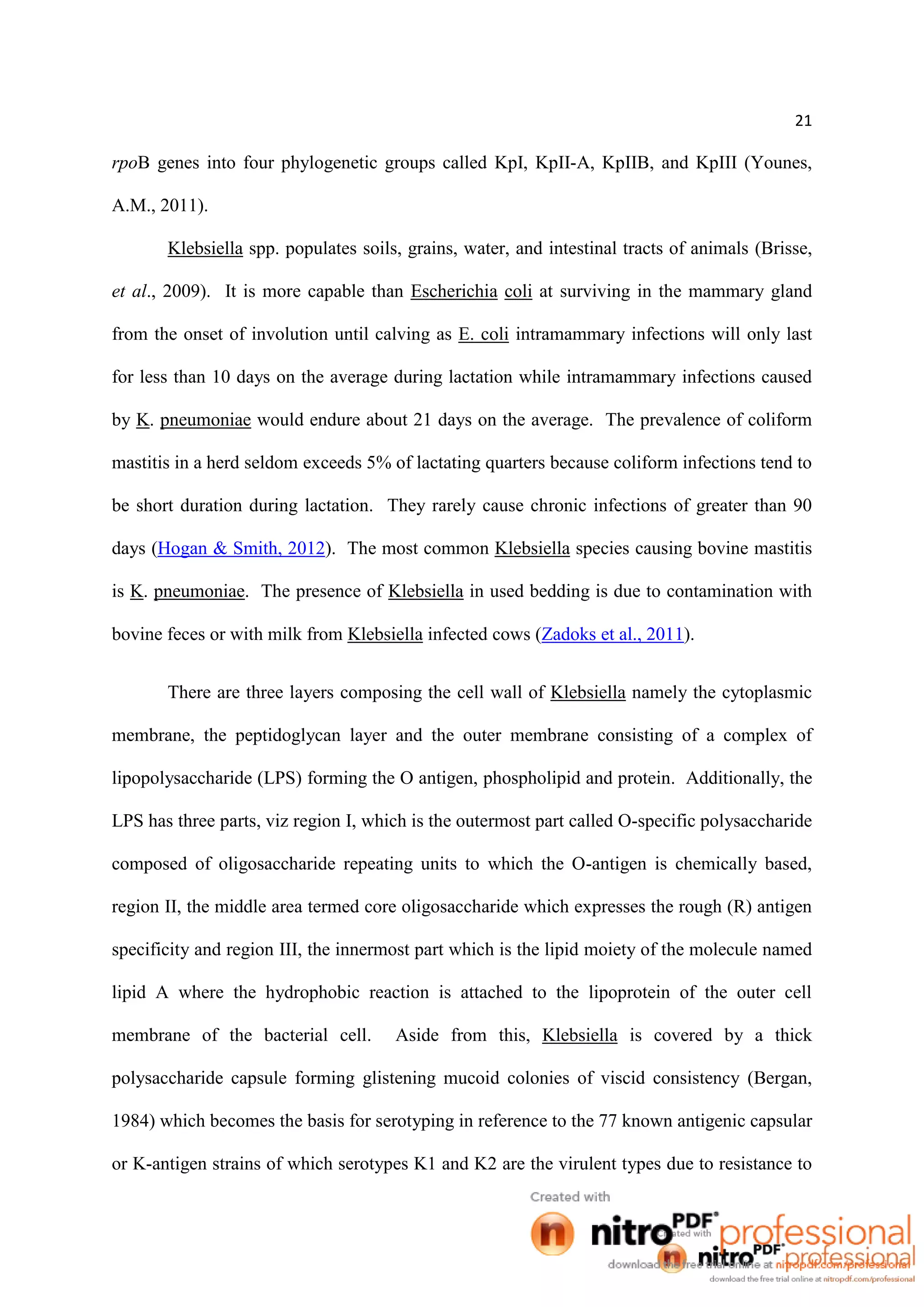 21
rpoB genes into four phylogenetic groups called KpI, KpII-A, KpIIB, and KpIII (Younes,
A.M., 2011).
Klebsiella spp. populates soils, grains, water, and intestinal tracts of animals (Brisse,
et al., 2009). It is more capable than Escherichia coli at surviving in the mammary gland
from the onset of involution until calving as E. coli intramammary infections will only last
for less than 10 days on the average during lactation while intramammary infections caused
by K. pneumoniae would endure about 21 days on the average. The prevalence of coliform
mastitis in a herd seldom exceeds 5% of lactating quarters because coliform infections tend to
be short duration during lactation. They rarely cause chronic infections of greater than 90
days (Hogan & Smith, 2012). The most common Klebsiella species causing bovine mastitis
is K. pneumoniae. The presence of Klebsiella in used bedding is due to contamination with
bovine feces or with milk from Klebsiella infected cows (Zadoks et al., 2011).
There are three layers composing the cell wall of Klebsiella namely the cytoplasmic
membrane, the peptidoglycan layer and the outer membrane consisting of a complex of
lipopolysaccharide (LPS) forming the O antigen, phospholipid and protein. Additionally, the
LPS has three parts, viz region I, which is the outermost part called O-specific polysaccharide
composed of oligosaccharide repeating units to which the O-antigen is chemically based,
region II, the middle area termed core oligosaccharide which expresses the rough (R) antigen
specificity and region III, the innermost part which is the lipid moiety of the molecule named
lipid A where the hydrophobic reaction is attached to the lipoprotein of the outer cell
membrane of the bacterial cell. Aside from this, Klebsiella is covered by a thick
polysaccharide capsule forming glistening mucoid colonies of viscid consistency (Bergan,
1984) which becomes the basis for serotyping in reference to the 77 known antigenic capsular
or K-antigen strains of which serotypes K1 and K2 are the virulent types due to resistance to
 
