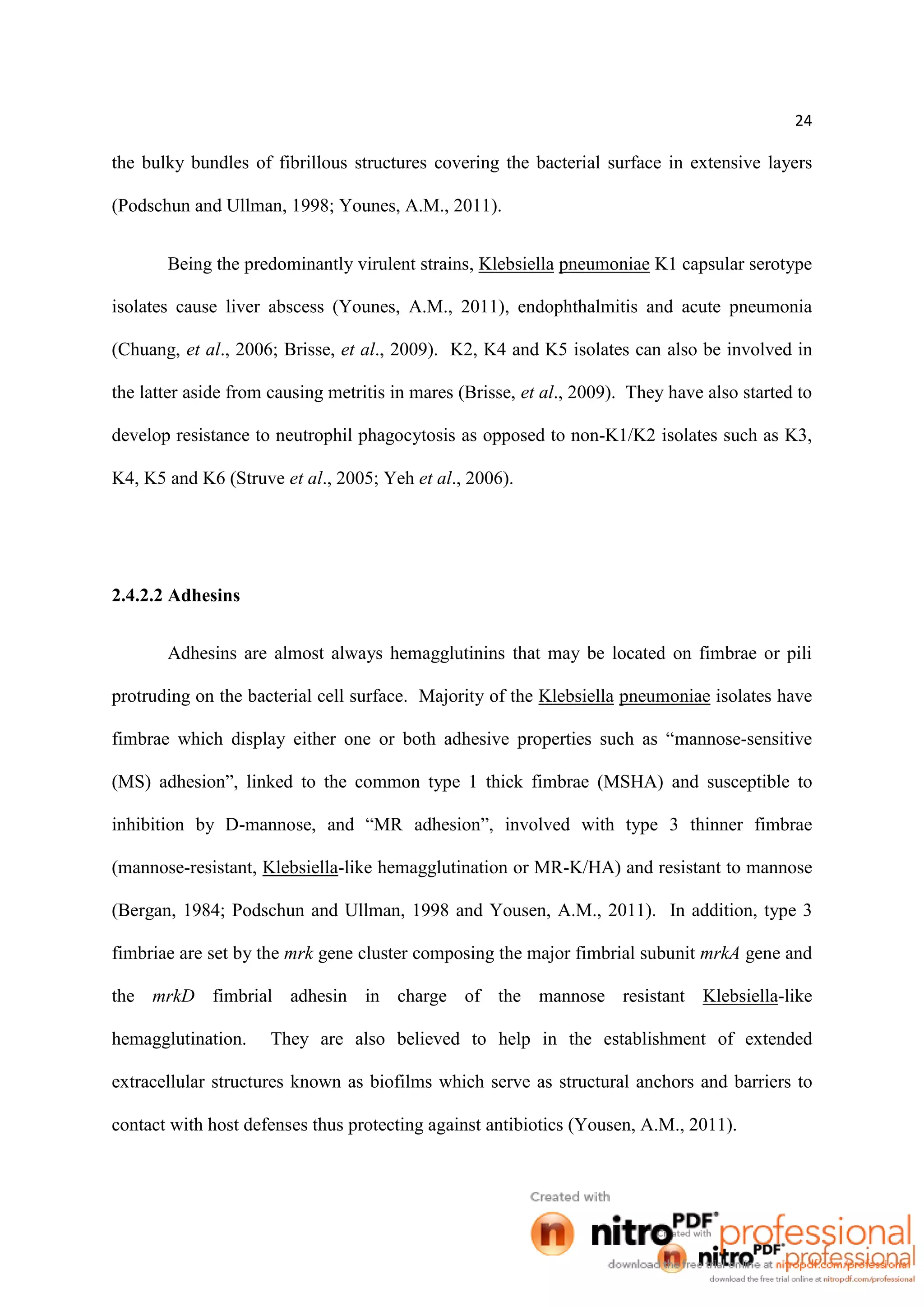 24
the bulky bundles of fibrillous structures covering the bacterial surface in extensive layers
(Podschun and Ullman, 1998; Younes, A.M., 2011).
Being the predominantly virulent strains, Klebsiella pneumoniae K1 capsular serotype
isolates cause liver abscess (Younes, A.M., 2011), endophthalmitis and acute pneumonia
(Chuang, et al., 2006; Brisse, et al., 2009). K2, K4 and K5 isolates can also be involved in
the latter aside from causing metritis in mares (Brisse, et al., 2009). They have also started to
develop resistance to neutrophil phagocytosis as opposed to non-K1/K2 isolates such as K3,
K4, K5 and K6 (Struve et al., 2005; Yeh et al., 2006).
2.4.2.2 Adhesins
Adhesins are almost always hemagglutinins that may be located on fimbrae or pili
protruding on the bacterial cell surface. Majority of the Klebsiella pneumoniae isolates have
fimbrae which display either one or both adhesive properties such as “mannose-sensitive
(MS) adhesion”, linked to the common type 1 thick fimbrae (MSHA) and susceptible to
inhibition by D-mannose, and “MR adhesion”, involved with type 3 thinner fimbrae
(mannose-resistant, Klebsiella-like hemagglutination or MR-K/HA) and resistant to mannose
(Bergan, 1984; Podschun and Ullman, 1998 and Yousen, A.M., 2011). In addition, type 3
fimbriae are set by the mrk gene cluster composing the major fimbrial subunit mrkA gene and
the mrkD fimbrial adhesin in charge of the mannose resistant Klebsiella-like
hemagglutination. They are also believed to help in the establishment of extended
extracellular structures known as biofilms which serve as structural anchors and barriers to
contact with host defenses thus protecting against antibiotics (Yousen, A.M., 2011).
 