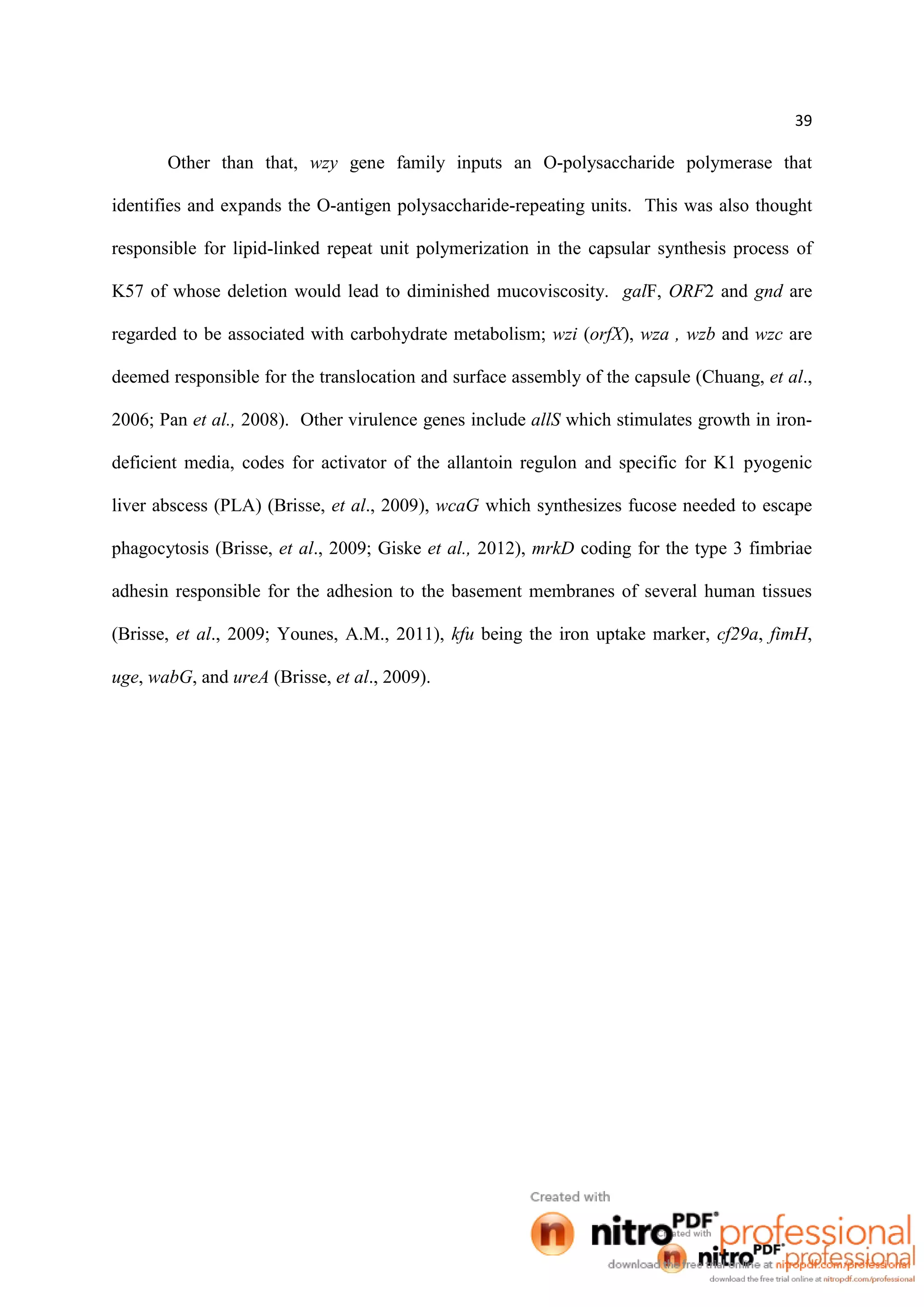 39
Other than that, wzy gene family inputs an O-polysaccharide polymerase that
identifies and expands the O-antigen polysaccharide-repeating units. This was also thought
responsible for lipid-linked repeat unit polymerization in the capsular synthesis process of
K57 of whose deletion would lead to diminished mucoviscosity. galF, ORF2 and gnd are
regarded to be associated with carbohydrate metabolism; wzi (orfX), wza , wzb and wzc are
deemed responsible for the translocation and surface assembly of the capsule (Chuang, et al.,
2006; Pan et al., 2008). Other virulence genes include allS which stimulates growth in iron-
deficient media, codes for activator of the allantoin regulon and specific for K1 pyogenic
liver abscess (PLA) (Brisse, et al., 2009), wcaG which synthesizes fucose needed to escape
phagocytosis (Brisse, et al., 2009; Giske et al., 2012), mrkD coding for the type 3 fimbriae
adhesin responsible for the adhesion to the basement membranes of several human tissues
(Brisse, et al., 2009; Younes, A.M., 2011), kfu being the iron uptake marker, cf29a, fimH,
uge, wabG, and ureA (Brisse, et al., 2009).
 