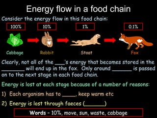 Energy flow in a food chain
Consider the energy flow in this food chain:
Cabbage Rabbit Stoat Fox
100% 10% 1% 0.1%
Clearly, not all of the ___’s energy that becomes stored in the
_______ will end up in the fox. Only around ______ is passed
on to the next stage in each food chain.
Energy is lost at each stage because of a number of reasons:
1) Each organism has to ____, keep warm etc
2) Energy is lost through faeces (______)
Words – 10%, move, sun, waste, cabbage
 