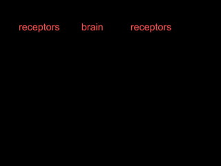 Use these words to complete the notes.
receptors brain receptors
The thermo-regulatory centre of the ______
monitors and controls the temperature of
blood as it passes through.
This centre has __________which are
sensitive to the temperature of the blood.
The skin also has _________ sensitive to
temperature.
B2
Homeostasis
 