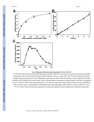 Fig. 2. Biochemical characterization of purified rhNAGLU-IGF-II
A) rhNAGLU-IGF-II activity towards the fluorogenic substrate 4-MUNG was measured as a function of increasing substrate
concentration. The reaction followed Michaelis-Menten kinetics with a Km value of 0.2 mM. The mean (black line) and 95%
confidence intervals (gray lines) of four independent experiments are shown. B) In the presence of excess substrate (0.8 mM),
rhNAGLU-IGF-II followed first order kinetics, where cleavage product concentration increased linearly with time at an apparent
rate of 7.2 nmol of 4-MU product formed per hour. C) To assess the optimal pH range for the enzymatic activity of rhNAGLU-
IGF-II, activity assays were performed in 200 mM/100 mM sodium phosphate-citrate buffer at a variety of pHs (2.6–7.9) at
37°C for 1 hour. Points and error bars represent the average and standard deviation respectively for triplicate experiments.
Kan et al. Page 17
Biochem J. Author manuscript; available in PMC 2015 March 01.
NIH-PAAuthorManuscriptNIH-PAAuthorManuscriptNIH-PAAuthorManuscript
 