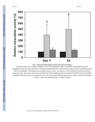 Fig. 7. rhNAGLU-IGF-II uptake in brain tumor-derived cell lines
Intracellular delivery of exogenous rhNAGLU-IGF-II was performed in Dao Y (cerebellar medulloblastoma) and Es
(glioblastoma) cell lines in the presence of 160 units/ml purified rhNAGLU-IGF-II with or without 5 µg/ml recombinant human
IGF-II as an inhibitor. The endogenous intracellular enzyme activity was defined as 100% (black bars) and the intracellular
enzyme activities observed in cells treated with rhNAGLU-IGF-II (light gray bars) and with both rhNAGLU-IGF-II and rhIGF-
II peptides (dark gray bars) were normalized to this value. The mean of triplicate experiments is shown. Asterisks (*) indicate
p<0.05 vs. control and rhNAGLU-IGF-II + rhIGF-II groups.
Kan et al. Page 22
Biochem J. Author manuscript; available in PMC 2015 March 01.
NIH-PAAuthorManuscriptNIH-PAAuthorManuscriptNIH-PAAuthorManuscript
 