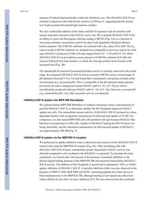 mannose N-linked oligosaccharides within the chitobiose core. The rhNAGLU-IGF-II was
resistant to digestion with Endo Hf but sensitive to PNGase F, suggesting that the protein
was N-glycosylated but lacked high-mannose residues.
We next verified that addition of the linker and IGF-II sequences did not interfere with
normal enzymatic function of the NAGLU active site. We evaluated rhNAGLU-IGF-II for
its ability to cleave the fluorogenic substrate analog 4-MUNG (Fig. 2A) as a function of
increasing substrate concentration and fit the data to the hyperbolic Michaelis-Menten
kinetic equation. The 4-MUNG substrate was utilized with a Km value of 0.2 mM. The Km
value towards 4-MUNG substrate we obtained was comparable to previous reports for wild-
type rhNAGLU produced in CHO cells that ranged from 0.22 – 5.34 mM [15, 16]. When
rhNAGLU-IGF-II was provided an excess amount of 4-MUNG substrate (0.8 mM), the
reaction followed first order kinetics, in which the cleavage product forms linearly with
increased time (Fig. 2B).
The optimal pH for maximal lysosomal hydrolase activity is typically observed in the acidic
range. We measured rhNAGLU-IGF-II activity towards 4-MUNG across a broad range of
pH optimum (from pH 3.8 to 5.0) and found that it maintained a strong bias towards acidic
environments (e.g. lysosomal pH). This is comparable to the pH optimum range reported
previously for native endogenous human NAGLU (pH 4.1–4.5, [33–35]) as well as
recombinantly produced wild-type NAGLU (pH 4.1–4.6, [15, 16]). However, at neutral pH
(e.g. extracellular pH), very little enzymatic activity was detected.
rhNAGLU-IGF-II uptake into MPS IIIB fibroblasts
We cultured human MPS IIIB fibroblasts in medium containing various concentrations of
purified rhNAGLU-IGF-II, to determine whether the IGF-II peptide improved NAGLU
uptake into cells. The intracellular enzyme activity of rhNAGLU-IGF-II increased in a dose-
dependent fashion with an apparent concentration for half-maximal uptake of 30 nM. For
comparison, we also treated MPS IIIB cells with purified wild-type human rhNAGLU that
had been overexpressed in CHO cells. Uptake of rhNAGLU lacking the IGF-II fusion was
barely detectable, and the calculated concentration for half-maximal uptake of rhNAGLU
was approximately 200 nM (Fig. 3).
rhNAGLU-IGF-II uptake via the M6P/IGF-II receptor
We performed an uptake inhibition assay to determine the extent to which rhNAGLU-IGF-II
entered cells using the M6P/IGF-II receptor (Fig. 4A). After incubating cells with
rhNAGLU-IGF-II for 4 hours, substantially greater intracellular NAGLU activity was
detected compared to cells incubated with rhNAGLU or untreated. To elucidate the entry
mechanism, we treated cells with enzyme in the presence of potential inhibitors to the
distinct ligand binding domains of the M6P/IGF-IIR and measured intracellular rhNAGLU-
IGF-II activity. The addition of IGF-II peptide (5 µg/ml) led to substantial (~80%; p<0.001)
uptake inhibition of rhNAGLU-IGF-II. A partially inhibitory effect was also observed in the
presence of M6P (5 mM). Both M6P and IGFII- containing peptides have been shown to
bind simultaneously to the M6P/IGF-IIR, although binding of one ligand may effectively
reduce affinity for the other via steric inhibition [25]. We also observed that the combined
Kan et al. Page 8
Biochem J. Author manuscript; available in PMC 2015 March 01.
NIH-PAAuthorManuscriptNIH-PAAuthorManuscriptNIH-PAAuthorManuscript
 