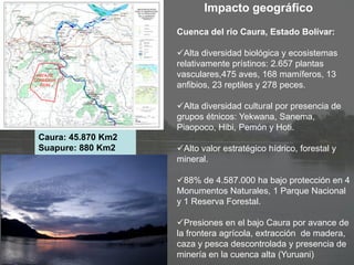 Phynatura: Uso alternativo de los bosques en la cuenca del rio Caura ...