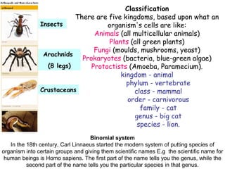 Classification
There are five kingdoms, based upon what an
organism's cells are like:
Animals (all multicellular animals)
Plants (all green plants)
Fungi (moulds, mushrooms, yeast)
Prokaryotes (bacteria, blue-green algae)
Protoctists (Amoeba, Paramecium).
kingdom - animal
phylum - vertebrate
class - mammal
order - carnivorous
family - cat
genus - big cat
species - lion.
Binomial system
In the 18th century, Carl Linnaeus started the modern system of putting species of
organism into certain groups and giving them scientific names E.g the scientific name for
human beings is Homo sapiens. The first part of the name tells you the genus, while the
second part of the name tells you the particular species in that genus.
Insects
Arachnids
(8 legs)
Crustaceans
 