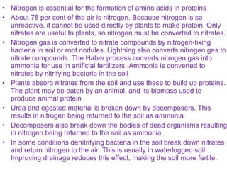 • Nitrogen is essential for the formation of amino acids in proteins
• About 78 per cent of the air is nitrogen. Because nitrogen is so
unreactive, it cannot be used directly by plants to make protein. Only
nitrates are useful to plants, so nitrogen must be converted to nitrates.
• Nitrogen gas is converted to nitrate compounds by nitrogen-fixing
bacteria in soil or root nodules. Lightning also converts nitrogen gas to
nitrate compounds. The Haber process converts nitrogen gas into
ammonia for use in artificial fertilizers. Ammonia is converted to
nitrates by nitrifying bacteria in the soil
• Plants absorb nitrates from the soil and use these to build up proteins.
The plant may be eaten by an animal, and its biomass used to
produce animal protein
• Urea and egested material is broken down by decomposers. This
results in nitrogen being returned to the soil as ammonia
• Decomposers also break down the bodies of dead organisms resulting
in nitrogen being returned to the soil as ammonia
• In some conditions denitrifying bacteria in the soil break down nitrates
and return nitrogen to the air. This is usually in waterlogged soil.
Improving drainage reduces this effect, making the soil more fertile.
 