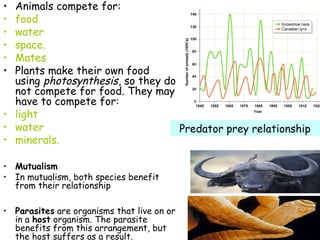 • Animals compete for:
• food
• water
• space.
• Mates
• Plants make their own food
using photosynthesis, so they do
not compete for food. They may
have to compete for:
• light
• water
• minerals.
• Mutualism
• In mutualism, both species benefit
from their relationship
• Parasites are organisms that live on or
in a host organism. The parasite
benefits from this arrangement, but
the host suffers as a result. 
Predator prey relationship
 