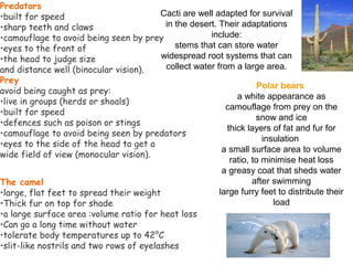 Cacti are well adapted for survival
in the desert. Their adaptations
include:
stems that can store water
widespread root systems that can
collect water from a large area.
Predators                                       
•built for speed
•sharp teeth and claws
•camouflage to avoid being seen by prey
•eyes to the front of
•the head to judge size
and distance well (binocular vision).
Prey
avoid being caught as prey:
•live in groups (herds or shoals)
•built for speed
•defences such as poison or stings
•camouflage to avoid being seen by predators
•eyes to the side of the head to get a
wide field of view (monocular vision).
Polar bears
a white appearance as
camouflage from prey on the
snow and ice
thick layers of fat and fur for
insulation
a small surface area to volume
ratio, to minimise heat loss
a greasy coat that sheds water
after swimming
large furry feet to distribute their
load
The camel                                                     
•large, flat feet to spread their weight
•Thick fur on top for shade
•a large surface area :volume ratio for heat loss
•Can go a long time without water
•tolerate body temperatures up to 42°C
•slit-like nostrils and two rows of eyelashes
 