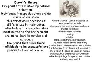 Darwin’s theory
Key points of evolution by natural
selection:
individuals in a species show a wide
range of variation
this variation is because of
differences in their genes
individuals with characteristics
most suited to the environment
are more likely to survive and
reproduce
the genes that allow these
individuals to be successful are
passed to their offspring.
Factors that can cause a species to
become extinct include:
changes to the environment, such as a
change in climate
destruction of habitats
hunting
pollution
competition from other species.
The fossil record shows that many
species have become extinct since life on
Earth began. Extinction is still happening
and a lot of it occurs because of human
activities. Human beings compete with
other living things for space, food, water
and very successful
 