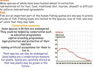 Conservation measures
Some species in Britain are endangered,
They could be helped by conservation such
as education programmes
captive breeding programmes
legal protection and protection of their
habitats
making artificial ecosystems for them to
live in.
Plant species can also be endangered.
Seed banks are a conservation measure
for plants. Seeds are carefully stored so
that new plants may be grown in the
future.
Whales
Many species of whale have been hunted almost to extinction.
raw materials oil for fuel, food, traditional diet, tourism, showsIt is difficult
to enforce international agreements
Fish
Fish are an important part of the human Fishing quotas are one way to protec
stocks of fish. Fishing boats are limited to the species, size of fish, and size
of catch that they may take.
 