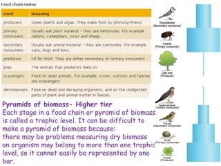 Pyramids of biomass- Higher tier
Each stage in a food chain or pyramid of biomass
is called a trophic level. It can be difficult to
make a pyramid of biomass because:
there may be problems measuring dry biomass
an organism may belong to more than one trophic
level, so it cannot easily be represented by one
bar.
 
