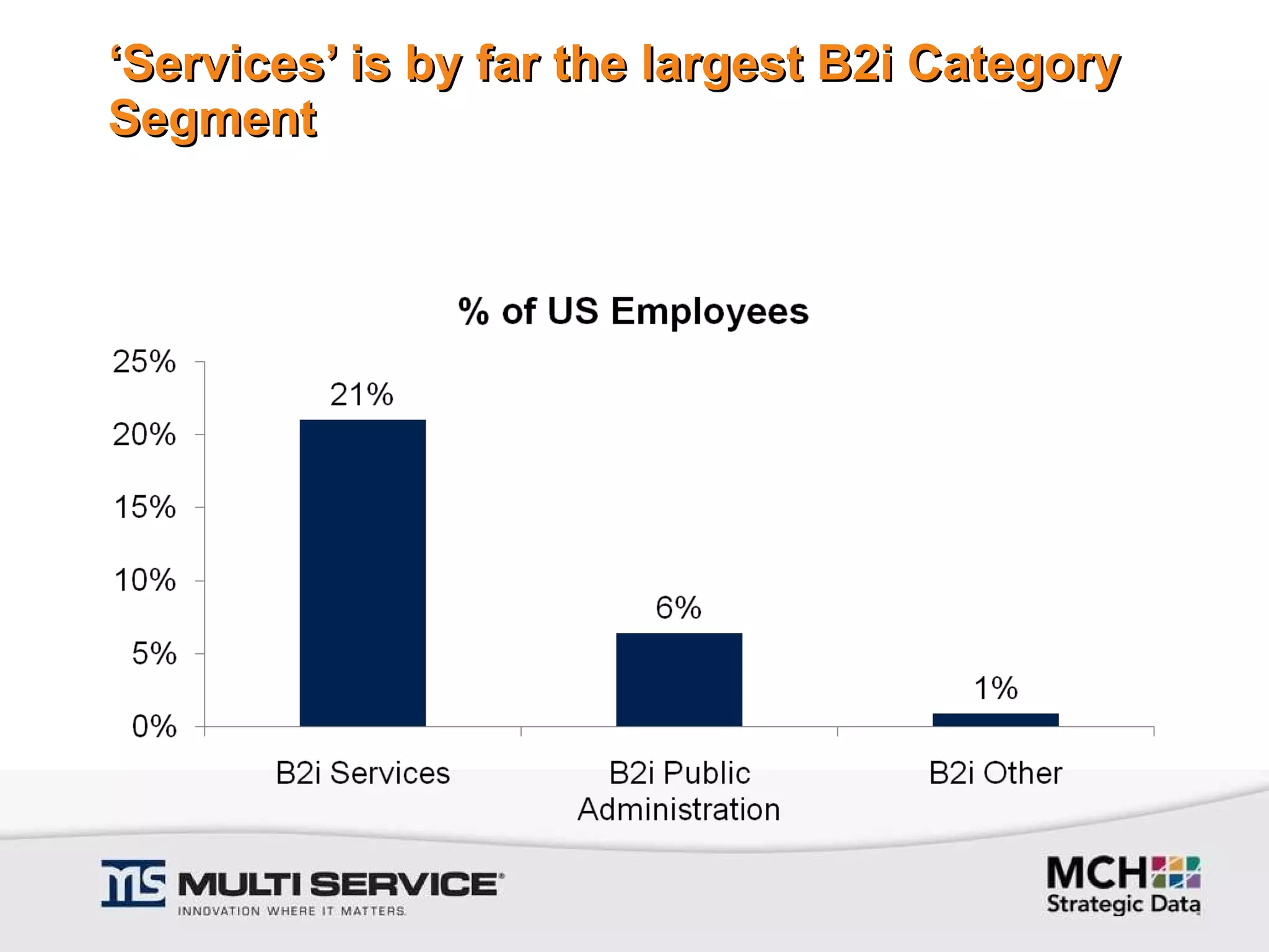 ‘ Services’ is by far the largest B2i Category Segment 