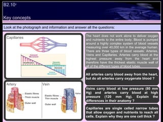 Key concepts B2.10 c   Look at the photograph and information and answer all the questions: The heart does not work alone to deliver oxygen and nutrients to the entire body. Blood is pumped around a highly complex system of blood vessels measuring over 40,000 km in the average human. There are three types of blood vessels: Arteries, Veins and Capillaries. Arteries carry blood at the highest pressure away from the heart and therefore have the thickest elastic muscle wall of all of the different types of blood tubes. All arteries carry blood away from the heart, but do all arteries carry oxygenate blood ? Veins carry blood at low pressure (80 mm Hg) and arteries carry blood at high pressure (120 mm Hg). Explain the differences in their anatomy ? Capillaries are single celled narrow tubes that allow oxygen and nutrients to reach all cells. Explain why they are one cell thick ? Elastic fibres Outer wall Valve Thin muscle Outer wall Thick muscle Elastic fibres Capillaries Artery  Vein 