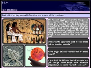 key concepts B2.7 a  Look at the photograph and information and answer all the questions: The Ancient Egyptians were the first people to use antibiotics! They used to put  mouldy bread on to infected wounds. Scientists now know that the mould is a fungus that makes penicillin a well known antibiotic which can help heal bacterial infections. The chemical stops bacterial cell making new cell wall which is an essential step when cloning itself What why the Egyptians used mouldy bread to treat infected wounds  ? Name a type of antibiotic found in the bread mould ? If you had 50 different herbal extracts and you though some might have antibiotic properties, how would you test each one ? 