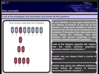 B2.7 b   Look at the photograph and information and answer all the questions: In any infection, in any super colony there are millions of bacteria. In just one op the bacteria, a single gene mutation in just one bacteria that conveys some resistance to an antibiotic. If the patient then feels better and stops taking the antibiotic, then that bacteria will survive producing a new antibiotic resistant bacterial population.  Look at the diagram opposite left, explain how the whole bacterial population becomes resistant to antibiotics ? Explain why you always finish a course of antibiotics ? Explain why giving two different anitbitoics would reduce the chance of bacteria becoming antibiotic resistant ?  How bacteria replicates and multiplies Key concepts 