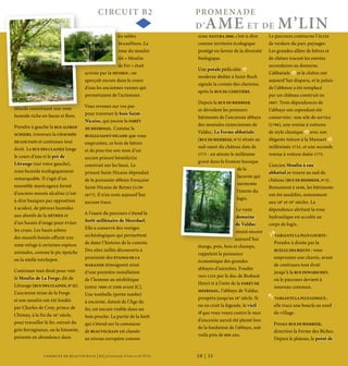 COMMU NE DE BEAU VECHAIN | B2| promenade d’Ame et de M’lin
CIRCUIT B2 PROMENADE
D’AME ET DE M’LIN
20 | 21
CIRCUIT B2 PROMENADE
D’AME ET DE M’LIN
têtards constituant une zone
humide riche en faune et ﬂore.
Prendre à gauche la RUE ALFRED
SCHEERS, traversez la CHAUSSÉE
DE LOUVAIN et continuez tout
droit. La RUE DES CLAINES longe
le cours d’eau et le pré de
Litrange (sur votre gauche),
zone humide écologiquement
remarquable. Il s’agit d’un
ensemble marécageux formé
d’anciens marais alcalins (c’est-
à-dire basiques par opposition
à acides), de pâtures humides
aux abords de la NÉTHEN et
d’un bassin d’orage pour éviter
les crues. Les hauts arbres
des massifs boisés oﬀrent une
zone refuge à certaines espèces
animales, comme le pic épeiche
ou la sitelle torchepot.
Continuer tout droit pour voir
le Moulin de La Forge, dit de
Litrange (RUE DES CLAINES, N°32).
L’ancienne mine de la Forge
et son moulin ont été fondés
par Charles de Croy, prince de
Chimay, à la ﬁn du 16e
siècle,
pour travailler le fer, extrait du
grès ferrugineux, ou la limonite,
présente en abondance dans
les sables
bruxelliens. La
roue du moulin
dit « Moulin
de Fer » était
activée par la NÉTHEN ; on
aperçoit encore dans le cours
d’eau les anciennes vannes qui
permettaient de l’actionner.
Vous revenez sur vos pas
pour traverser le bois Saint-
Nicaise, qui jouxte la FORÊT
DE MEERDAEL. Comme la
RUELLE SAINT-NICAISE que vous
empruntez, ce bois de hêtres
et de pins tire son nom d’un
ancien prieuré bénédictin
construit sur les lieux. Le
prieuré Saint-Nicaise dépendait
de la puissante abbaye française
Saint-Nicaise de Reims (1139-
1677). Il n’en reste aujourd’hui
aucune trace.
A l’ouest du parcours s’étend la
forêt millénaire de Meerdael.
Elle a conservé des vestiges
archéologiques qui permettent
de dater l’histoire de la contrée.
Des silex taillés découverts à
proximité des ÉTANGS DE LA
WARANDE témoignent ainsi
d’une première installation
de l’homme au néolithique
(entre 7000 et 2500 avant JC).
Une tombelle (petite tombe)
à enceinte, datant de l’Âge du
fer, est encore visible dans un
bois proche. La partie de la forêt
qui s’étend sur la commune
de BEAUVECHAIN est classée
au niveau européen comme
zone NATURA 2000, c’est-à-dire
comme territoire écologique
protégé en faveur de la diversité
biologique.
Une potale pédiculée
moderne dédiée à Saint-Roch
signale la croisée des chemins,
après la RUE DU CIMETIÈRE.
Depuis la RUE DE BIERBEEK
se dévoilent les premiers
bâtiments de l’ancienne abbaye
des moniales cisterciennes de
Valduc. La Ferme abbatiale
(RUE DE BIERBEEK, N°1) située au
sud-ouest du château date de
1773 - en atteste le millésime
gravé dans le fronton baroque
de la
lucarne qui
surmonte
l’entrée du
logis.
Le vaste
domaine
de Valduc
réunit encore
aujourd’hui
étangs, prés, bois et champs,
rappelant la puissance
économique des grandes
abbayes d’autrefois. Fondée
vers 1232 par le duc de Brabant
Henri II à l’orée de la FORÊT DE
MEERDAEL, l’abbaye de Valduc
prospéra jusqu’au 18e
siècle. Si
on en croit la légende, le vieil
if que vous voyez contre le mur
d’enceinte aurait été planté lors
de la fondation de l’abbaye, soit
voilà près de 800 ans.
Le parcours contourne l’écrin
de verdure du parc paysager.
Les grandes allées de hêtres et
de chênes tracent les entrées
secondaires au domaine.
L’abbatiale et le cloître ont
aujourd’hui disparu, et le palais
de l’abbesse a été remplacé
par un château construit en
1867. Trois dépendances de
l’abbaye ont cependant été
conservées : une aile de service
(1790), une remise à voitures
de style classique avec son
élégante toiture à la Mansart
millésimée 1732, et une seconde
remise à voiture datée 1775.
L’ancien Moulin à eau
abbatial se trouve au sud du
château (RUE DE BIERBEEK, N°3).
Remontant à 1648, les bâtiments
ont été modiﬁés, notamment
aux 18e
et 19e
siècles. La
dépendance abritant la roue
hydraulique est accolée au
corps de logis.
VARIANTE LA PLUS COURTE :
Prendre à droite par la
RUELLE DES BŒUFS : vous
empruntez une chavée, avant
de continuez tout droit
jusqu’à la RUE DEWARICHET,
où le parcours devient à
nouveau commun.
VARIANTE LA PLUS LONGUE :
elle trace une boucle au nord
du village.
Prenez RUE DE BIERBEEK,
direction la Ferme des Biches.
Depuis le plateau, le point de
 