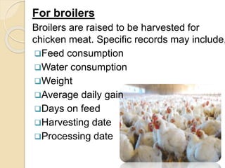 For broilers
Broilers are raised to be harvested for
chicken meat. Specific records may include,
Feed consumption
Water consumption
Weight
Average daily gain
Days on feed
Harvesting date
Processing date
 