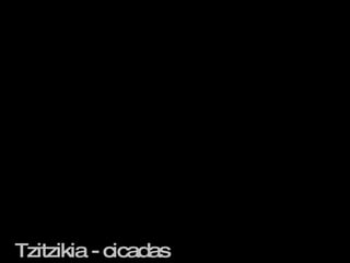   Tzitzikia - cicadas  
