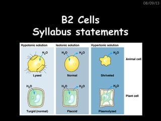 08/09/13
B2 CellsB2 Cells
Syllabus statementsSyllabus statements
 