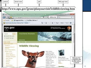 Web Address




              4
 